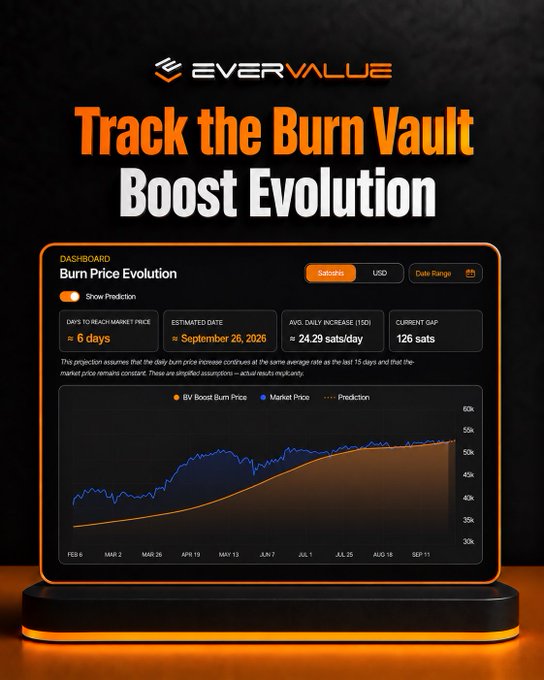 An EverValue promotional graphic for "Track the Burn Vault Boost Evolution" dashboard, showing 6 days to reach market price with a 24.29 sats/day increase.