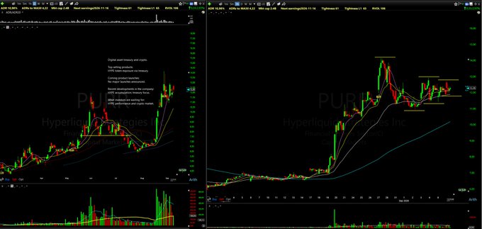 Two side-by-side dark-themed trading charts from Hyperliquid Strategies Inc ($PURR) display candlestick patterns with overlaid moving averages and annotations highlighting trend reversals, key breakout levels, and recent downward price action, visually supporting the post's question about whether the chart "makes you PURR."