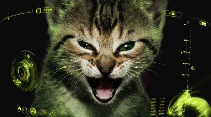 A snarling tabby cat with bared teeth is overlaid with futuristic green HUD elements, including "HSR" and "VR HEAD" labels and small numerical readouts. The fierce, watchful cat mirrors the post's "smart money" and "under the radar" theme, projecting the alert, predatory momentum described for the $TYGR token.