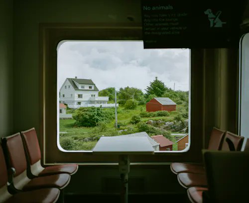 A view from inside a train looking out a window at houses and greenery, with a 'No animals' sign visible above the window.