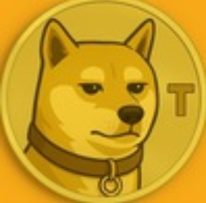 A digital illustration of a golden Shiba Inu dog's face inside a coin, featuring a 'T' symbol to the right, closely resembling the Dogecoin logo.