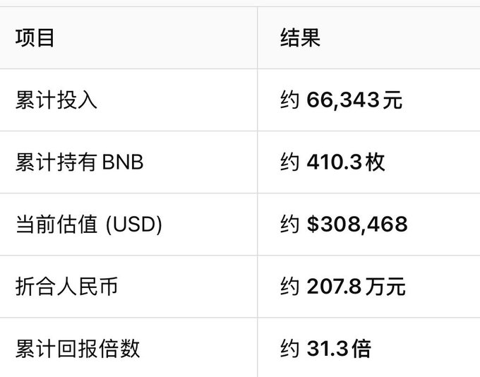 A Chinese-language table showing investment results: 项目/结果, 累计投入 约66,343元, 累计持有BNB 约410.3枚, 当前估值(USD) 约$308,468, 折合人民币 约207.8万元, 累计回报倍数 约31.3倍.