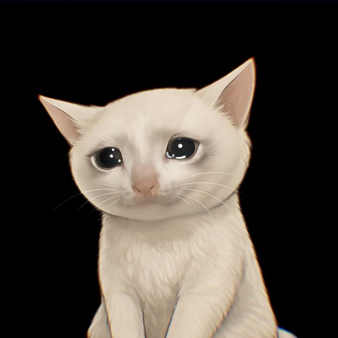 A digital illustration of a white cat with large, teary eyes against a black background.