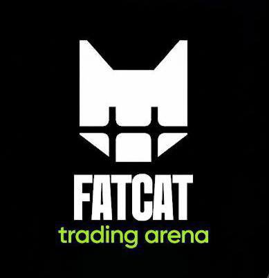 A sleek black logo featuring a stylized white cat face icon above the bold text "FATCAT trading arena" in white and green. This branding aligns with the post promoting FatCat Arena as an emerging African platform combining traders, gamers, and Web3 users into one community.
