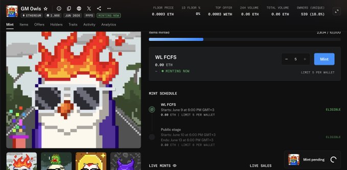 The image shows a computer screen displaying a website called "OMI Owls". The website has an interesting feature, as it features a cartoon character wearing sunglasses with a fire design on its face. This character appears to be a snowman or a penguin, depending on the viewer's perspective. The website also offers various options for purchasing items and is associated with a social media platform called "LTVFS".