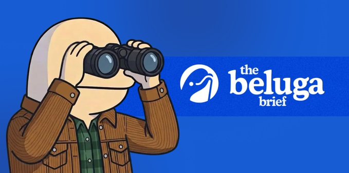 An illustration of a person with blonde hair using binoculars, positioned next to the text "the beluga brief" and a beluga whale logo on a blue background.