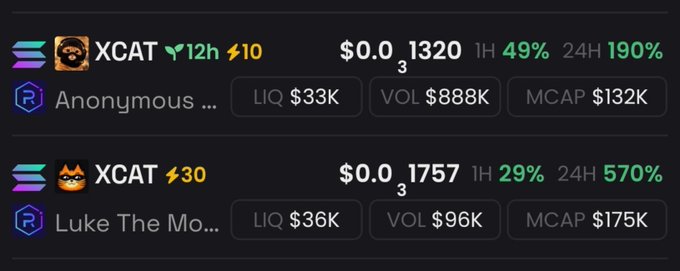 A dark-themed crypto trading interface showing two 'XCAT' token listings with 12h and 30m timeframes, displaying prices around $0.00001320–$0.00001757, with positive 24H gains of 190% and 570%, and listings by 'Anonymous' and 'Luke The Mo...' on Raydium.