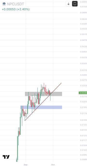 A cryptocurrency trading chart for NPCUSDT showing a price of +0.00053 (+2.40%), with candlesticks and a diagonal trendline indicating price movement between September and October.