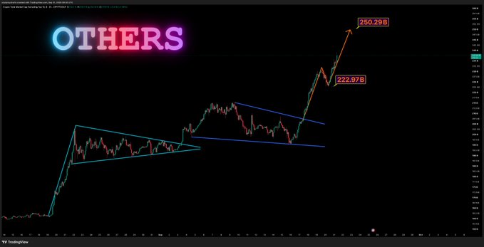 A TradingView candlestick chart displays an "OTHERS" altcoin market cap ticker with technical analysis drawn over it, showing a blue symmetrical triangle pattern from a prior dip followed by a breakout to a new all-time high, marked with red labels at "222.97B" and "250.29B" to validate the poster's pre-emptive $250B price target call.