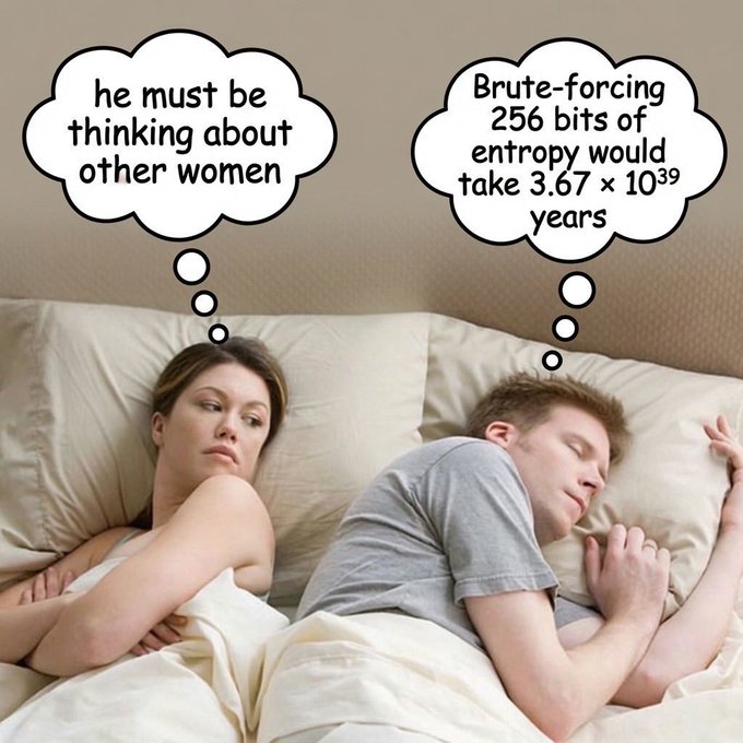 A woman lies awake in bed assuming her partner is "thinking about other women," while the sleeping man is actually calculating that "Brute-forcing 256 bits of entropy would take 3.67 × 10³⁹ years"—a humorous meme illustrating how Bitcoin enthusiasts obsess over cryptographic security even in their dreams.