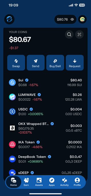 A mobile screenshot of a crypto wallet app displays a portfolio valued at $80.67, showing significant losses including Sui down 16.7% to $0.40, illustrating the poster's lament about holding Sui which has dropped to around $0.40 despite their earlier $5 target.
