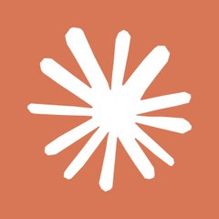 A white starburst or asterisk-like logo on a coral/orange background. The simple geometric symbol appears to represent privacy or encryption, visually complementing the post's message about @near_ai's end-to-end encrypted AI services that keep user data hidden.