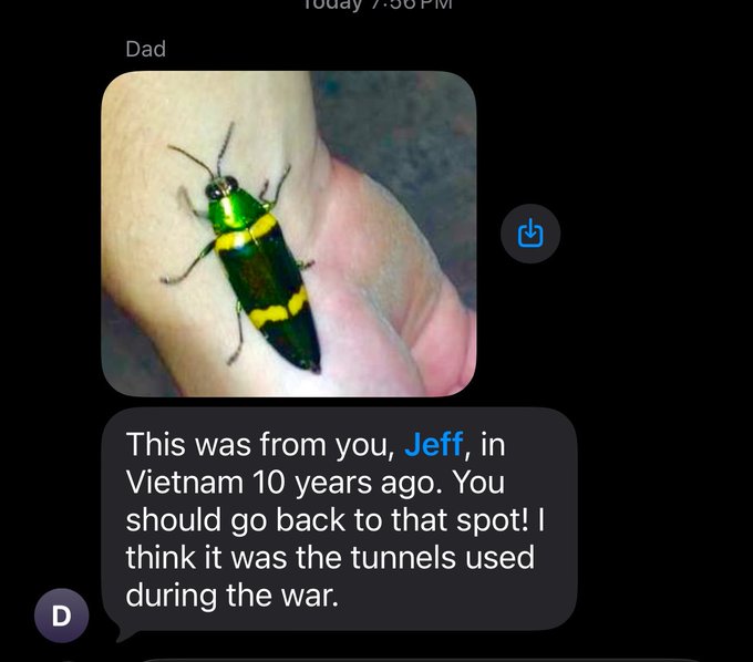 A text message screenshot from "Dad" at 7:36 PM shows a close-up of a vibrant green and yellow jewel beetle resting on a finger, with the caption reading "This was from you, Jeff, in Vietnam 10 years ago. You should go back to that spot! I think it was the tunnels used during the war," responding to Jeff's nostalgic post about revisiting Vietnam and rediscovering the same beetle from a decade prior.