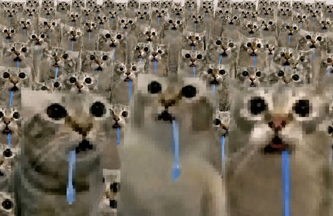 The image features a large group of cats, all with blue eyes, standing next to each other. They are arranged in rows or columns, creating an impression that they are part of an army formation. The cats appear to be drooling due to the artificial tears used as a creative and humorous effect for the photo. The caption below the image reads: "an army shall of $drooling cats shall be formed".