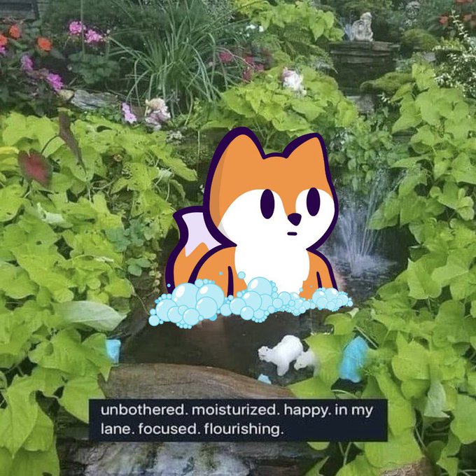 The image features a cartoon fox sitting in a pond surrounded by lush green plants, with a waterfall nearby. The caption of the image reads "unbelievable, moisturized, happy, in my lane, focused, flourishing". This message seems to be related to the content creator's recent video call or social media post on Solana, where they are promoting their new wallet app called Solflare.