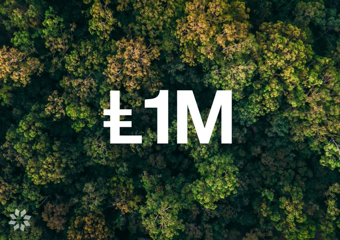 An aerial view of a dense green forest with the white text 'Ł1M' overlaid in the center.
