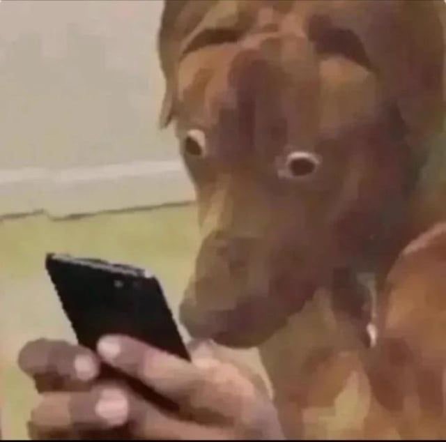 A horse with wide, startled eyes stares intently at a black smartphone held in human hands, looking shocked at the screen's content.

The image humorously captures the "shocked horse" meme, reflecting the poster's bewilderment at repeatedly receiving requests asking them to "make it RH not eth"—suggesting they're as surprised and overwhelmed as the horse appears while staring at the phone.