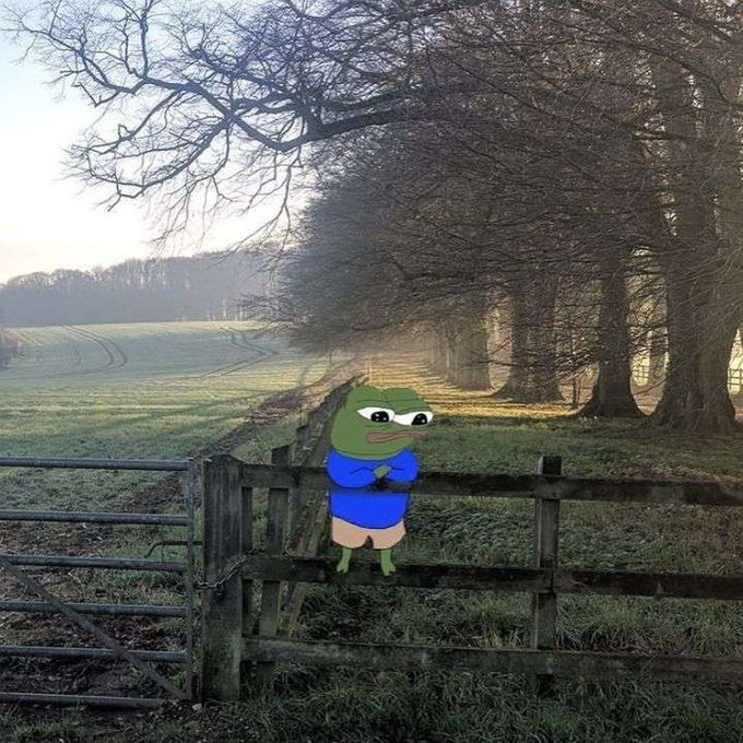 A sad Pepe the Frog meme character wearing a blue shirt and tan shorts leaning against a wooden fence along a tree-lined rural path.
