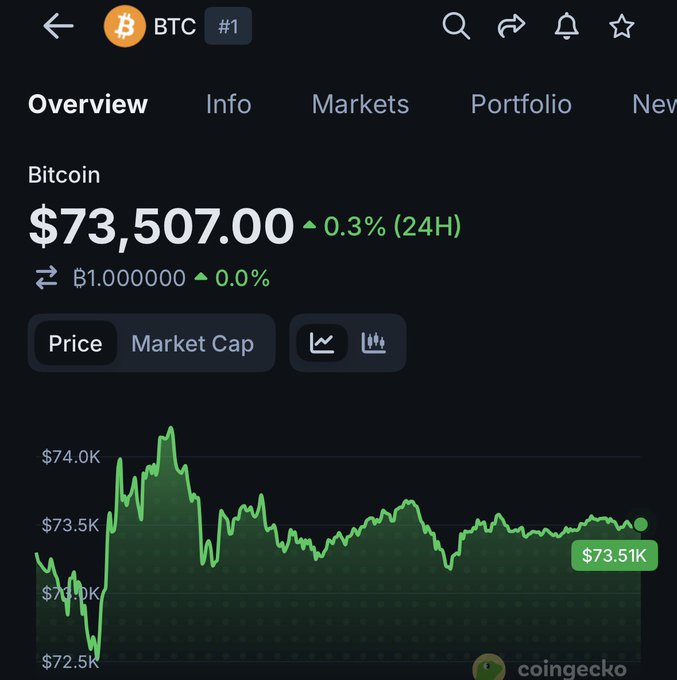 The image shows a price chart for Bitcoin. The chart displays the daily changes in the value of Bitcoin over the past year. One day, there was an increase in the Bitcoin price from $73,5k to $81,934 k, while on another day it decreased to $53,839. These fluctuations showcase the volatility and potential opportunities or challenges associated with investing in Bitcoin. The post suggests that one could use this information to predict what the Bitcoin price might look like by the end of the year based on the chart's data.