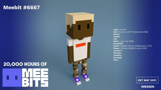 A Meebit NFT (#6667) from the 20,000 Meebits collection, displayed with character details including Buzzcut hair, Bleached beard, Logo Tee shirt, Canvas shoes, and Camo pants, marked EST MAY 2021.