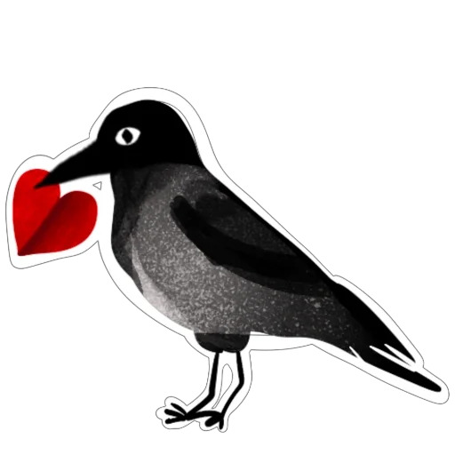 The image features a black crow holding a red heart, which appears to be a sticker or decal of the same color as the heart. The background of the image is white, making the colors of the bird's feathers and the heart stand out prominently. The caption "CAW Then Love" suggests that this image might be related to an event or celebration where the crow has been given a heart by someone else.