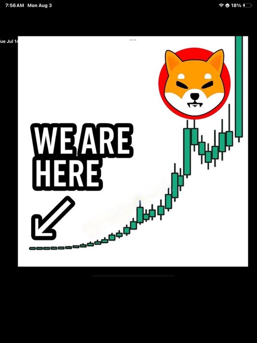 A Shiba Inu meme coin graphic with text 'WE ARE HERE' and an arrow pointing to a low spot on a green candlestick chart.