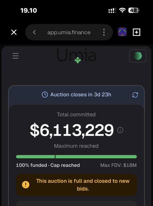A screenshot of the app.umia.finance website showing a successfully funded auction with "Total committed" reaching $6,113,229 and "100% funded - Cap reached," with a message stating the auction is full and closed to new bids.