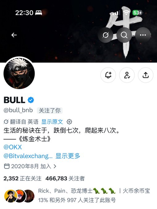 A screenshot of a Twitter/X profile for verified user "BULL" (@bull_bnb), who follows the poster, featuring an anime-style masked avatar and a Chinese quote about life and resilience, supporting the post's excitement about being followed by "the Bull."