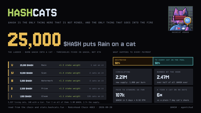 A dark-themed dashboard for HASHCATS, showing statistics like '25,000 $HASH puts Rain on a cat' with pixel art of a cat with a magnifying glass, displaying supply metrics and burn information.