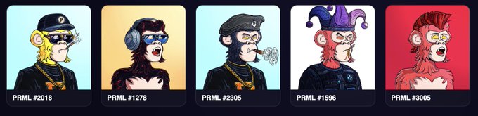A lineup of five cartoonish monkey characters, each labeled with a PRNL number: #2018, #1278, #2305, #1596, and #3005.