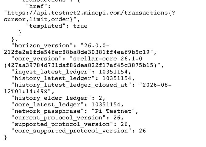 JSON output displays Stellar network details including 'horizon_version': '26.0.0-212fe2e6fde54fec88ba8de30381ff4eaf9b5c19' and 'network_passphrase': 'Pi Testnet'.
