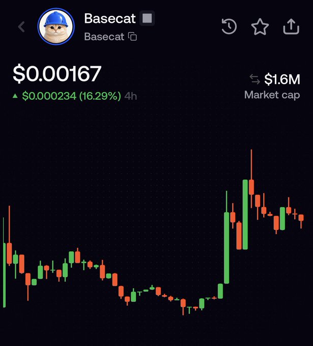 A 4-hour candlestick chart for Basecat (shown via a cat avatar with a blue hard hat) priced at $0.00167 with a $1.6M market cap, up 16.29% ($0.000234) — visually confirming the post's claim that Basecat dipped under $500K before partially recovering amid the distraction caused by Cobie's other cat coin.