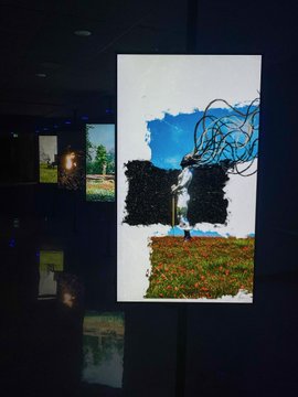A digital artwork displayed on a monitor in a dark gallery setting, featuring a composition of a blue sky, black textured patches, and a field of red flowers with a small silhouetted figure. The image showcases the NFT piece "To Fit In A World," exhibited with Suburbs Gallery and available for 0.3 ETH on Manifold.
