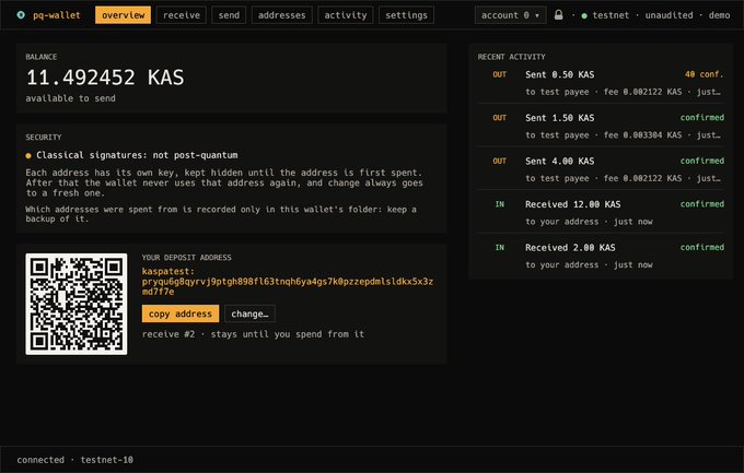 A dark-themed cryptocurrency wallet interface for "pg-wallet" displays a balance of "11.492452 KAS" on testnet-10, along with a QR code, deposit address, and recent transaction activity.