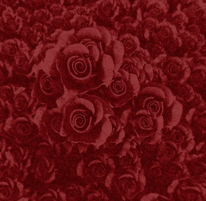 A close-up, textured image of dark red roses arranged tightly together, rendered with a fabric-like or embroidered appearance.