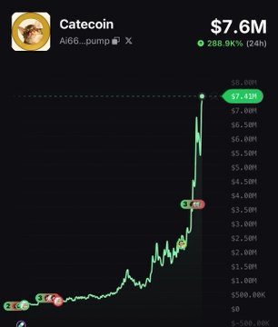 A price chart of Catecoin ($CATE) showing a market cap surge to $7.6M, up 288.9% in 24 hours, with the token's value climbing dramatically from a low baseline to $7.43M at peak. The chart visually supports the post's claim of a massive pump, illustrating the type of exponential meme coin rally the poster credits for their 1,000x return.