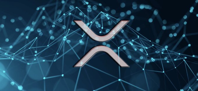 A digital graphic displaying the XRP (Ripple) cryptocurrency logo in rose gold against a dark blue background with interconnected glowing network nodes and lines.