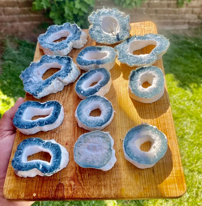 A wooden cutting board held outdoors displaying approximately 10 halved geodes with white crystalline interiors and blue-grey rims.