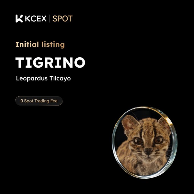 An announcement for an initial spot listing of 'TIGRINO' (Leopardus Tilcayo) on KCEX with '0 Spot Trading Fee', featuring a circular badge with a photo of a small spotted wild cat kitten.