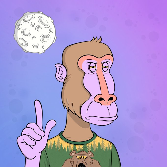 A bored cartoon ape wearing a bear sweater points up at the moon, whimsically capturing the hopeful optimism of the "$HBAR #HBARNFTs #BOONS" post that refuses to believe a market bottom has been reached.