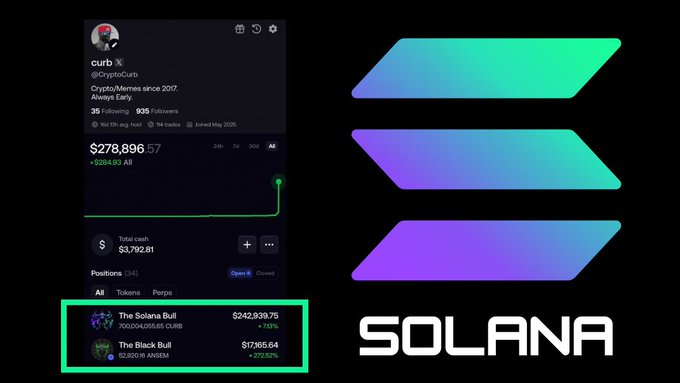 A screenshot of a crypto portfolio shows a balance of $278,896.57 with a highlighted section displaying two token holdings: "The Solana Bull" ($SOL) at $242,939.75 and "The Black Bull" ($ANSEM) at $37,165.64, accompanied by the Solana logo. This visually represents the balanced $CURB and $ANSEM portfolio allocation noted in the post.