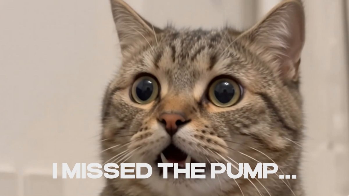 The image features a cat with wide open eyes and an open mouth, giving off a surprised expression as if it has just seen something unexpected or startling. The background of the image is white, which contrasts with the brown fur of the cat. There are no other objects in the image besides the cat itself.