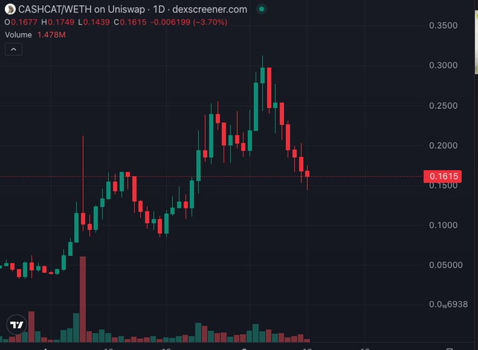 A daily candlestick chart of CASHCAT/WETH on Uniswap shows the token currently at 0.1615, down 3.70% from its recent peak near 0.3000, illustrating the "dip" referenced in the post and prompting the question of whether to buy the decline.