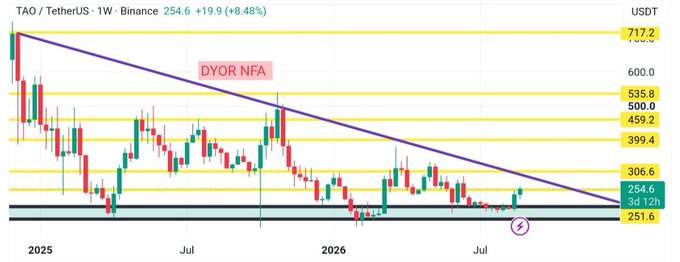 A weekly Binance candlestick chart for TAO/USDT shows the price at 254.6 (+8.48%), with TAO approaching the descending purple trendline from above while bouncing off the 251.6 lower support zone, near horizontal resistance levels marked at 306.6, 399.4, and 459.2—matching the post's observation of price returning to the long-watched falling trendline.