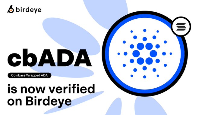 A Birdeye announcement graphic featuring the cbADA (Coinbase Wrapped ADA) logo on a blue circular badge, with text reading "cbADA is now verified on Birdeye." The image supports the post's announcement that cbADA has launched on Solana via Sunrise and is now verified on the Birdeye platform, utilizing Chainlink CCIP for cross-chain infrastructure.