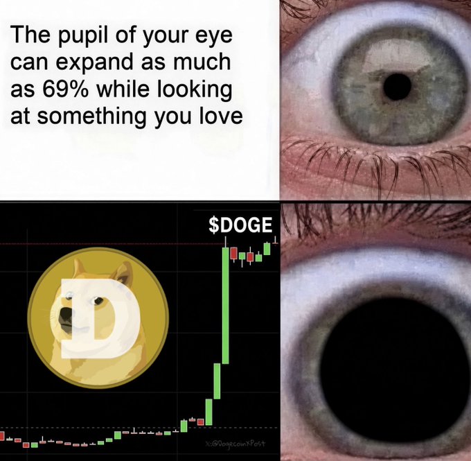 A meme showing two eye images demonstrating pupil dilation—the top with a constricted pupil and the bottom with an expanded pupil—paired with text stating "The pupil of your eye can expand as much as 69% while looking at something you love," alongside a $DOGE cryptocurrency chart and Dogecoin logo to imply the massive price surge causes the dilation effect.