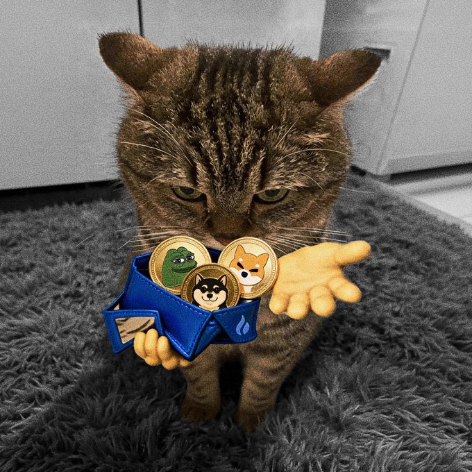A tabby cat holds out a blue wallet overflowing with Dogecoin-themed coins featuring Pepe, Shiba Inu, and Doge, with a cartoon paw appearing to offer more. The image humorously illustrates the caption's wish for a "fire companion's" crypto wallet to be filled, so the cat can be rewarded with endless "dried fishies."