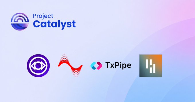 The image features a white background with four different logos displayed, including Project Catalyst, Catalyst, Xpipe, and Txpipe. The logos are arranged vertically against this backdrop, creating an eye-catching display of branding elements for each company.