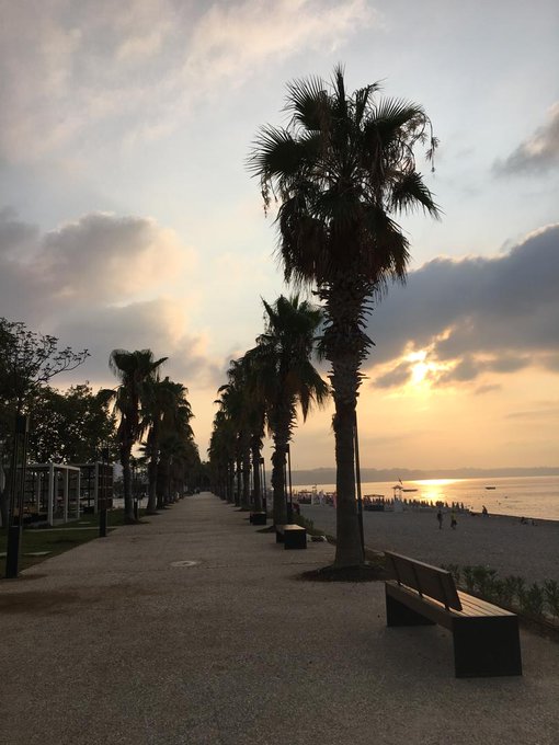 A scenic sunset view along a beachfront promenade lined with tall palm trees, a wooden bench in the foreground, and a city skyline visible across the water.