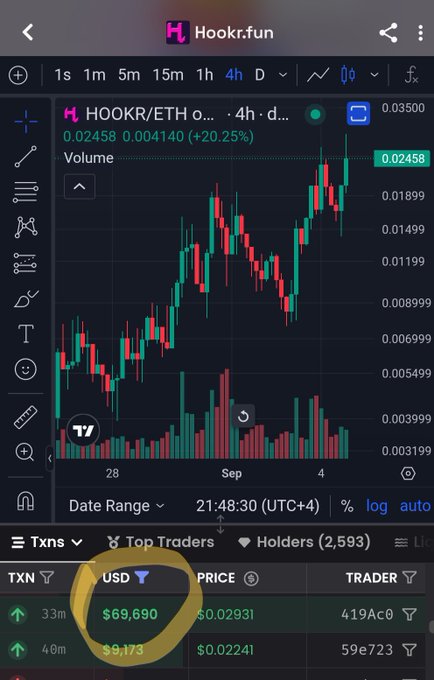 A cryptocurrency chart interface for 'HOOKR.fun' displays a candlestick chart for the HOOKR/ETH pair, with a circled USD column showing transaction values of '$69,690' and '$9,173'.